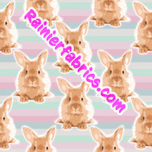 Load image into Gallery viewer, Bunny Stripes by Red Dirt Queen - 2-5 day turnaround - Order by 1/2 yard; Description of bases below