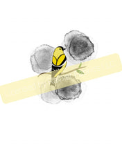 Load image into Gallery viewer, Birds by Nina Collection - Rapport available - Order by half yard -instructions below on base fabrics