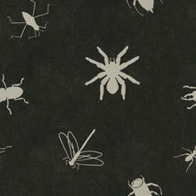 Load image into Gallery viewer, Bugs by Logan with Popologie - Order by half yard -instructions below on base fabrics