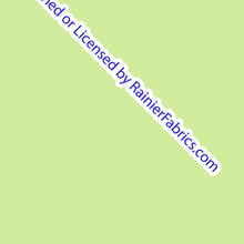 Load image into Gallery viewer, Dragon Flies by Nina - Order by half yard -instructions below on base fabrics