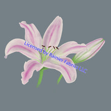 Load image into Gallery viewer, Lily Collection with color options, stripes, polka dots and panel - by Nina - Order by half yard - See below for instructions on ordering and base fabrics