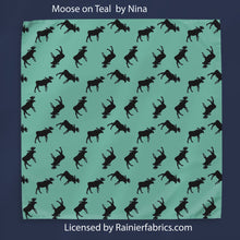 Load image into Gallery viewer, Bandanas - Perfect little gift,! Get a matching one for your favorite dog!