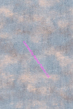 Load image into Gallery viewer, Chicken Collection by Popologie - Order by half yard - See below for instructions on ordering and base fabrics