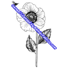 Load image into Gallery viewer, Vintage Floral Collection from Popologie - 2-5 day turnaround - Order by 1/2 yard; Description of bases below