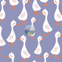 Load image into Gallery viewer, Fun Geese with rain option
