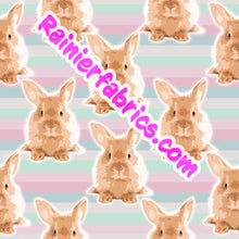 Load image into Gallery viewer, Bunny Stripes by Red Dirt Queen  - 2-5 day turnaround - Order by 1/2 yard; Description of bases below
