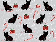 Load image into Gallery viewer, Blankets by Nina, Polar Fleece, great for wall hangings or light weight blanket. Made in USA
