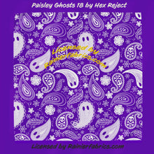 Load image into Gallery viewer, Paisley Bandanas from Hex Reject - Perfect little gift. Fun for the pooch too!
