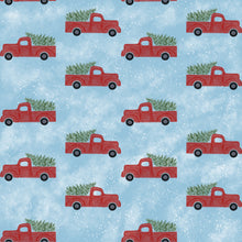 Load image into Gallery viewer, Blankets by Nina, Polar Fleece, great for wall hangings or light weight blanket. Made in USA
